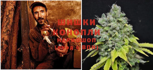 мдпв Сатка