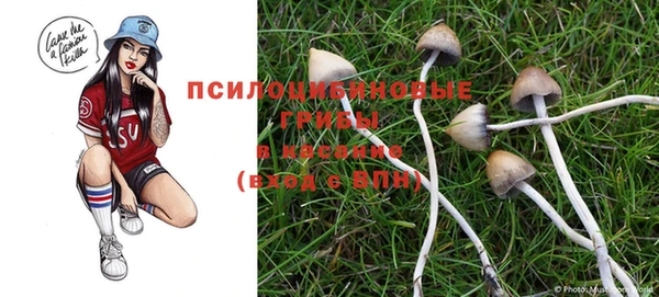 кокс Саяногорск