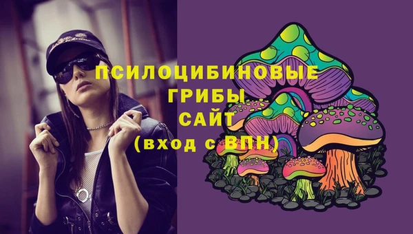 мдпв Сатка