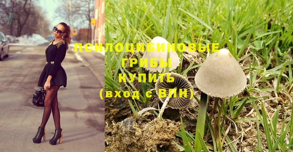 a pvp Россошь