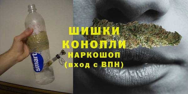 мдпв Сатка