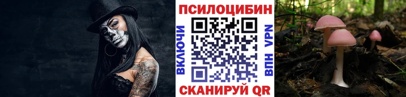 Галлюциногенные грибы Psilocybine cubensis  закладки  Тюмень 