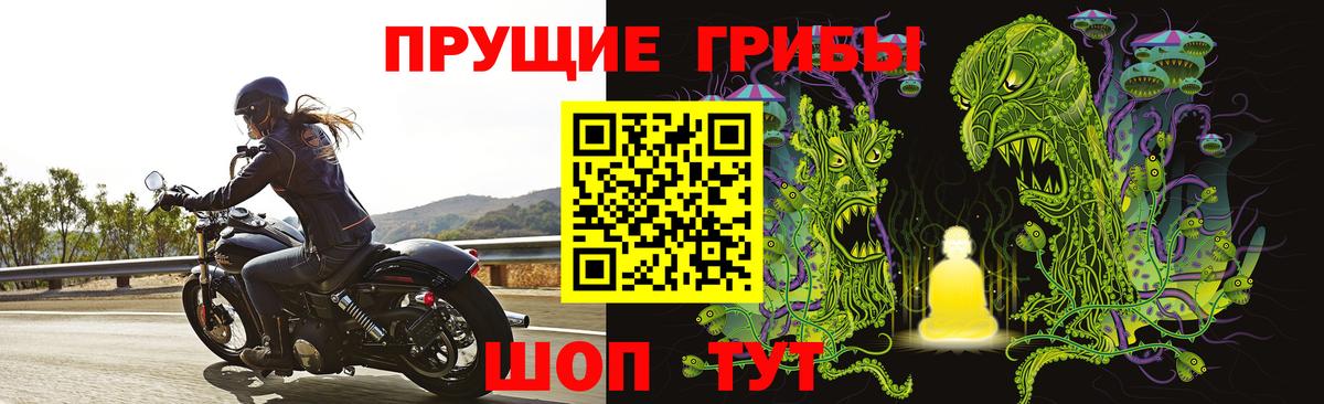 Псилоцибиновые грибы Magic Shrooms  Тюмень 