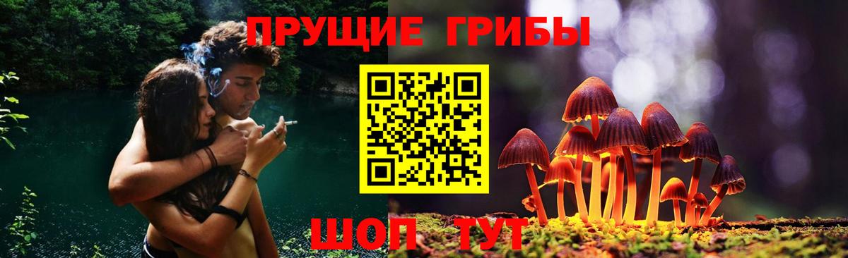 Псилоцибиновые грибы Psilocybe  Вход с VPN  Тюмень 