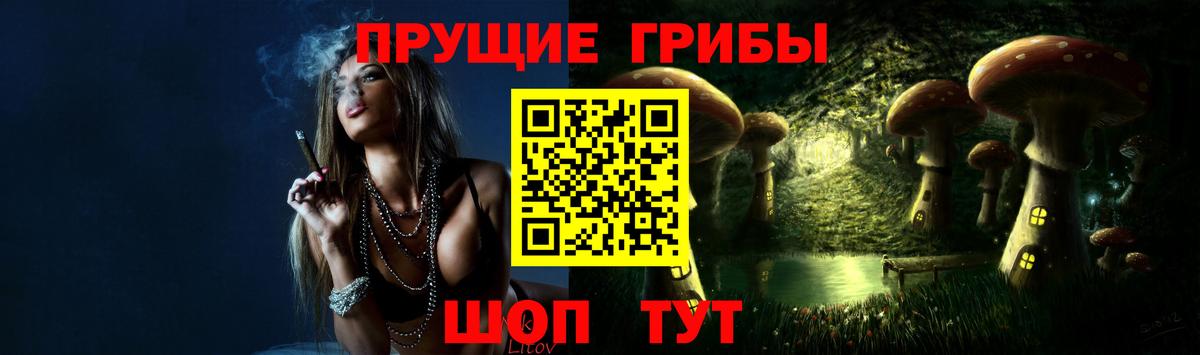 Псилоцибиновые грибы Cubensis Тюмень